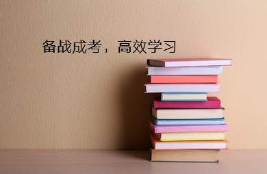 河南省成人高考在哪个网站报名
