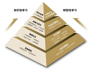 远程教育和网络教育选择哪个好